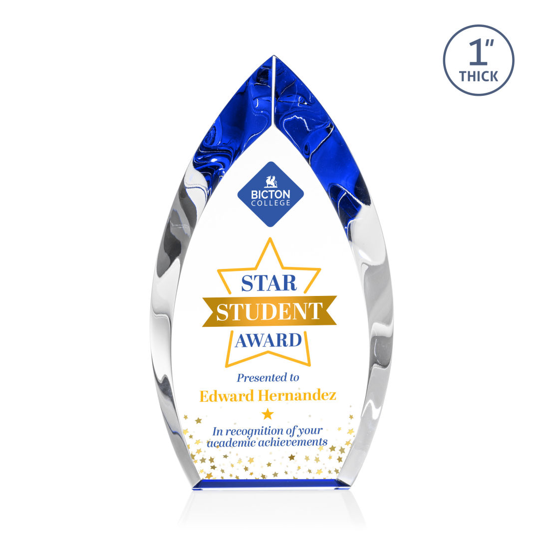 Marinello VividPrint™ Award - Blue 8