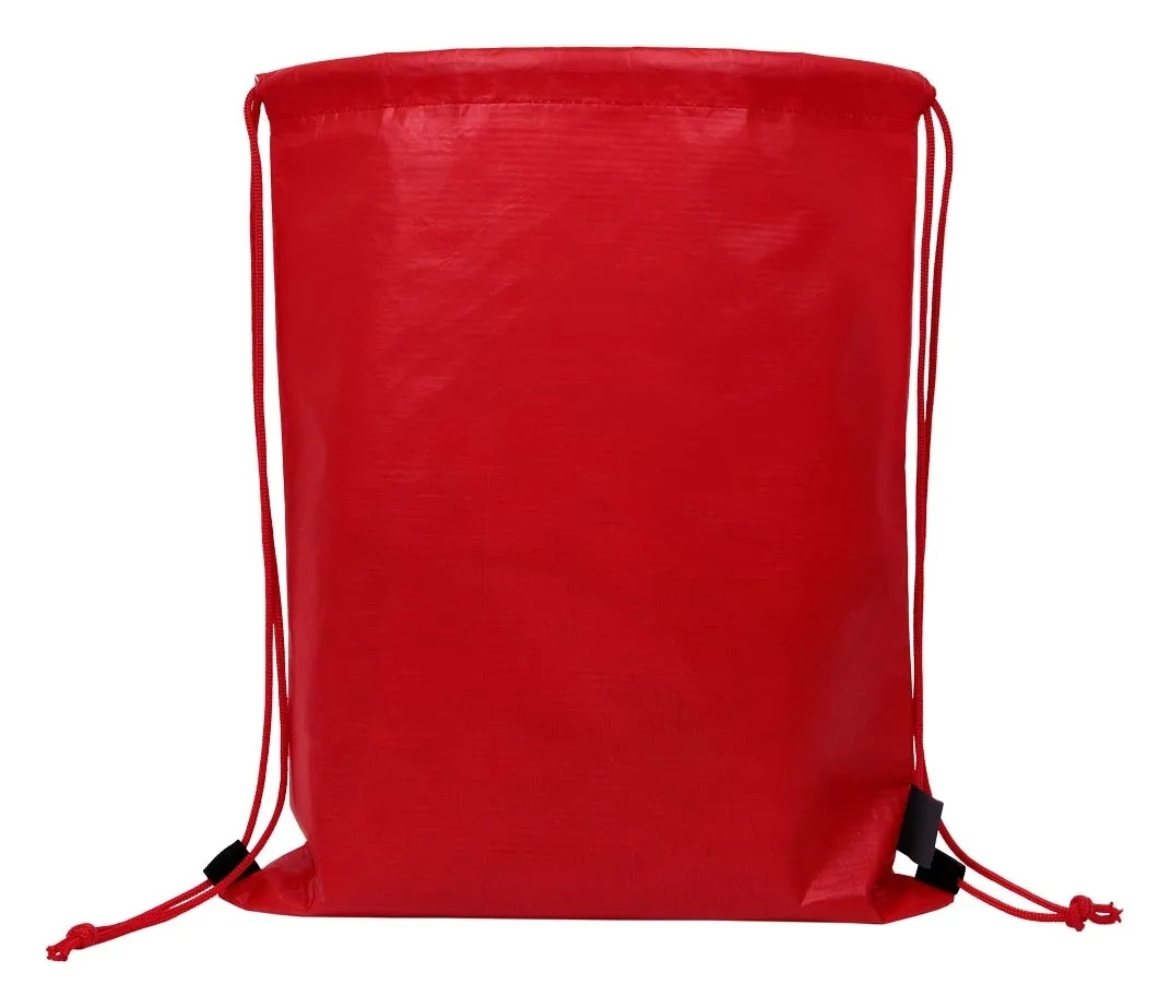 The Allerdale RPET Drawstring Backpack 10