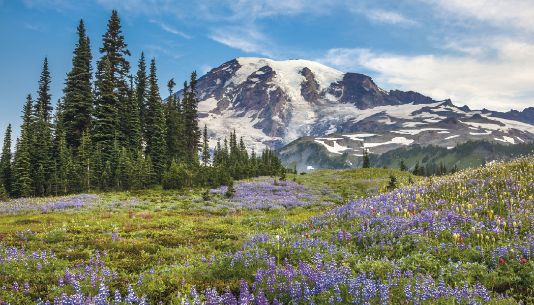 Triumph® Calendars American Splendor with Date Blocks Calendar 44