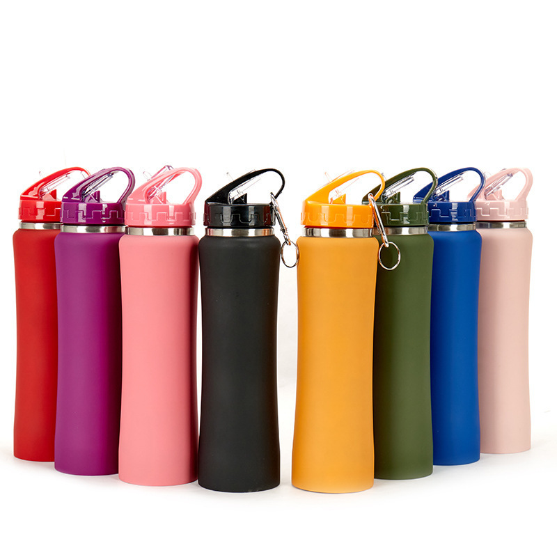 Stainless Steel Bottle
