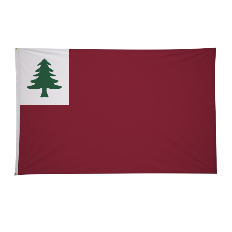 5' x 8' Historical Flags 13