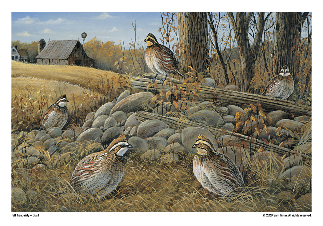 Triumph® Calendars Wildlife Art Calendar 16