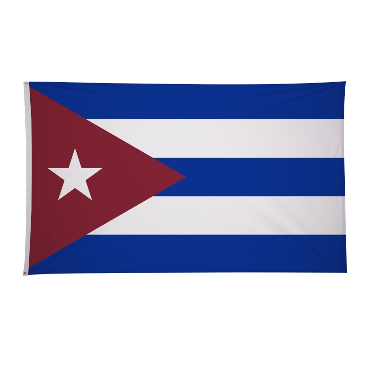 6' x 10' International Flags 331