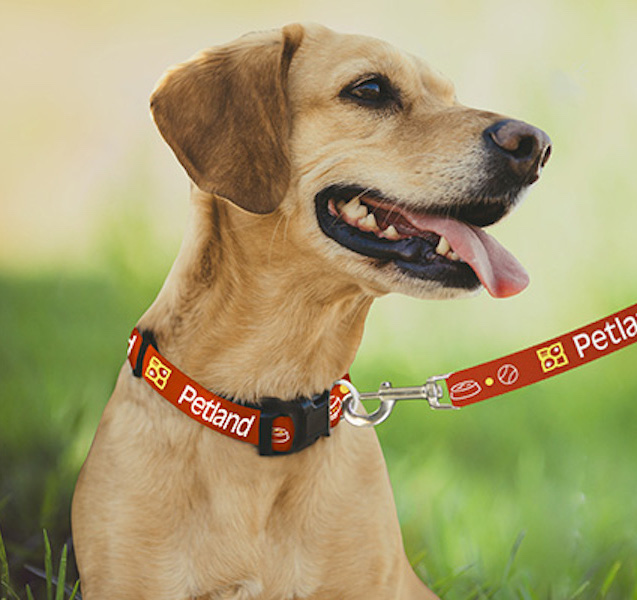 Pantone Matched Collar