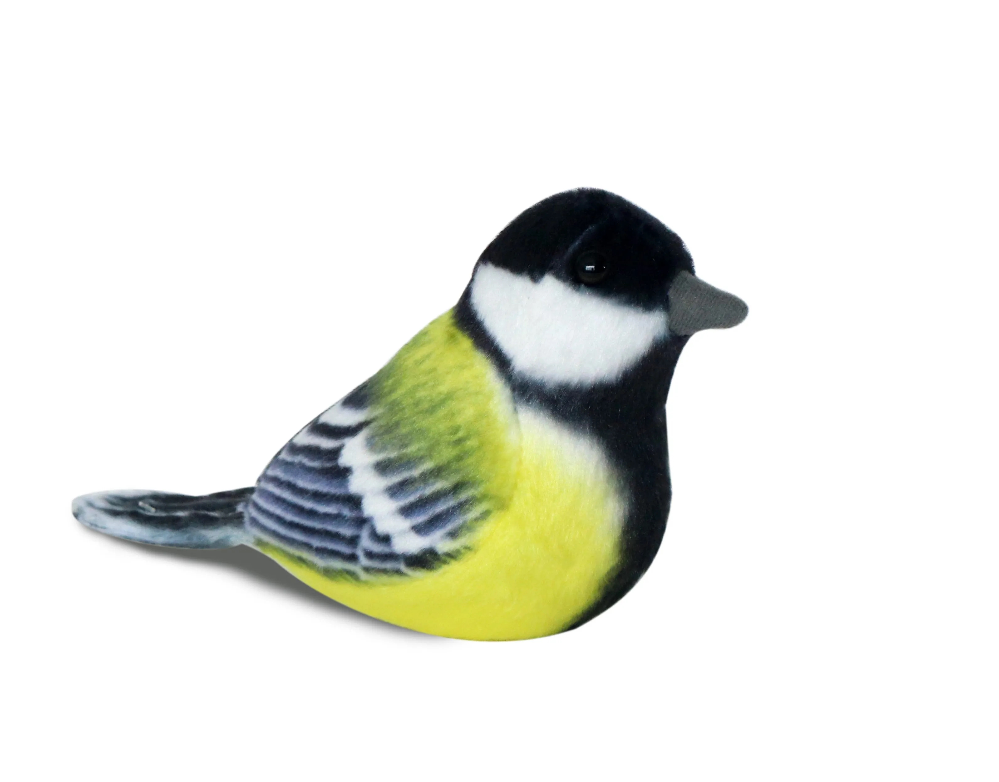 Parus Birds 2