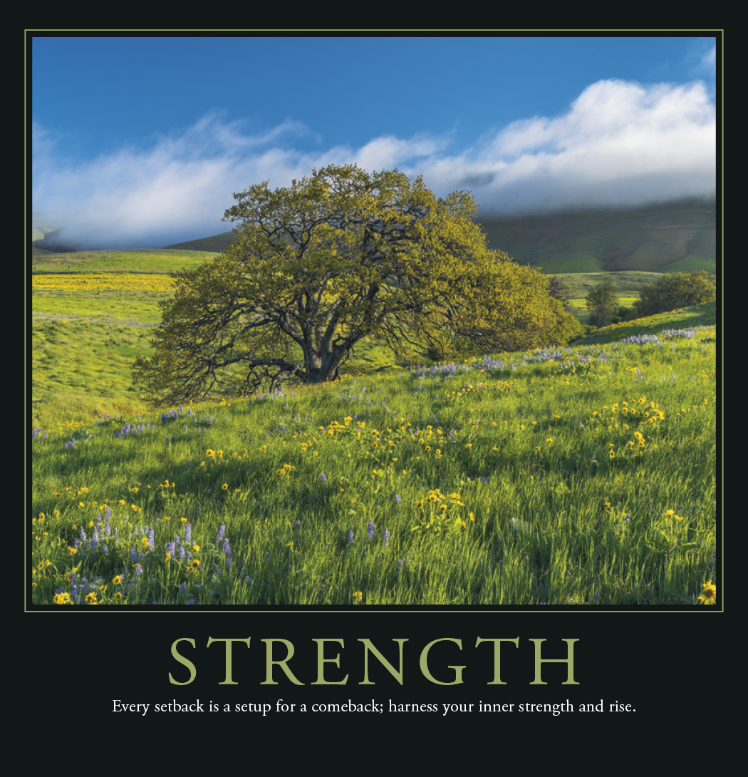Triumph® Calendars Motivations Calendar 1