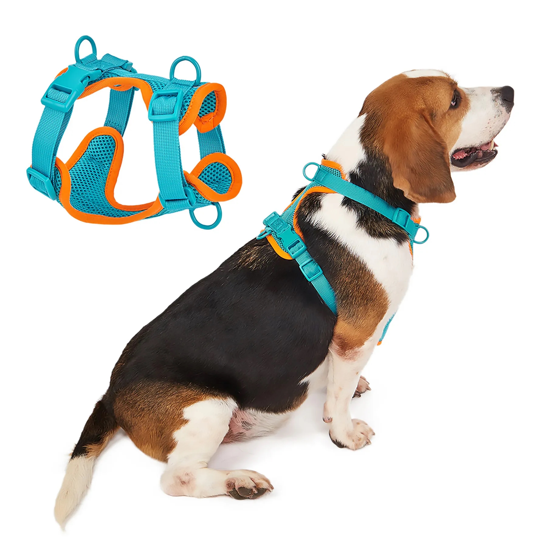 Polyester Small Dog Pet Harness With Leash 4