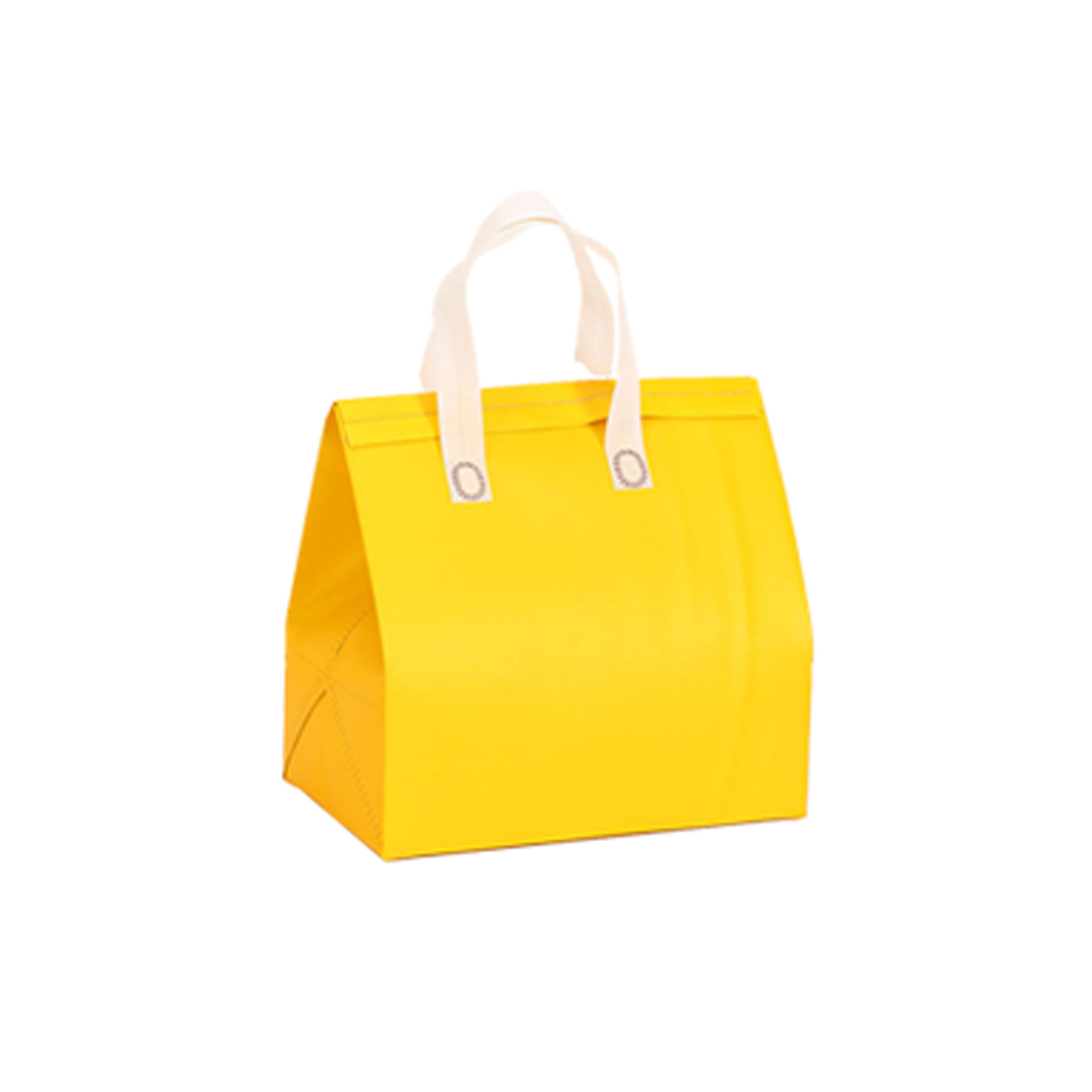 Disposable Insulated Bag 9
