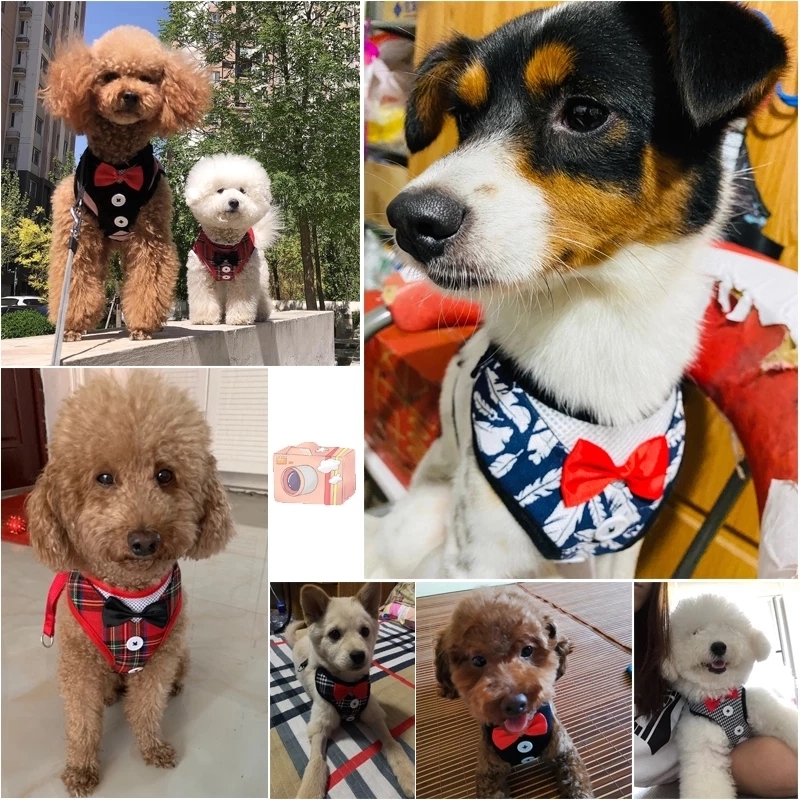 Elegant Bow Dog Collars Necktie Traction Rope Adjustable 4