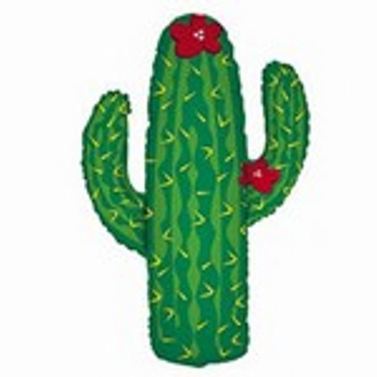 Cactus Balloon 2
