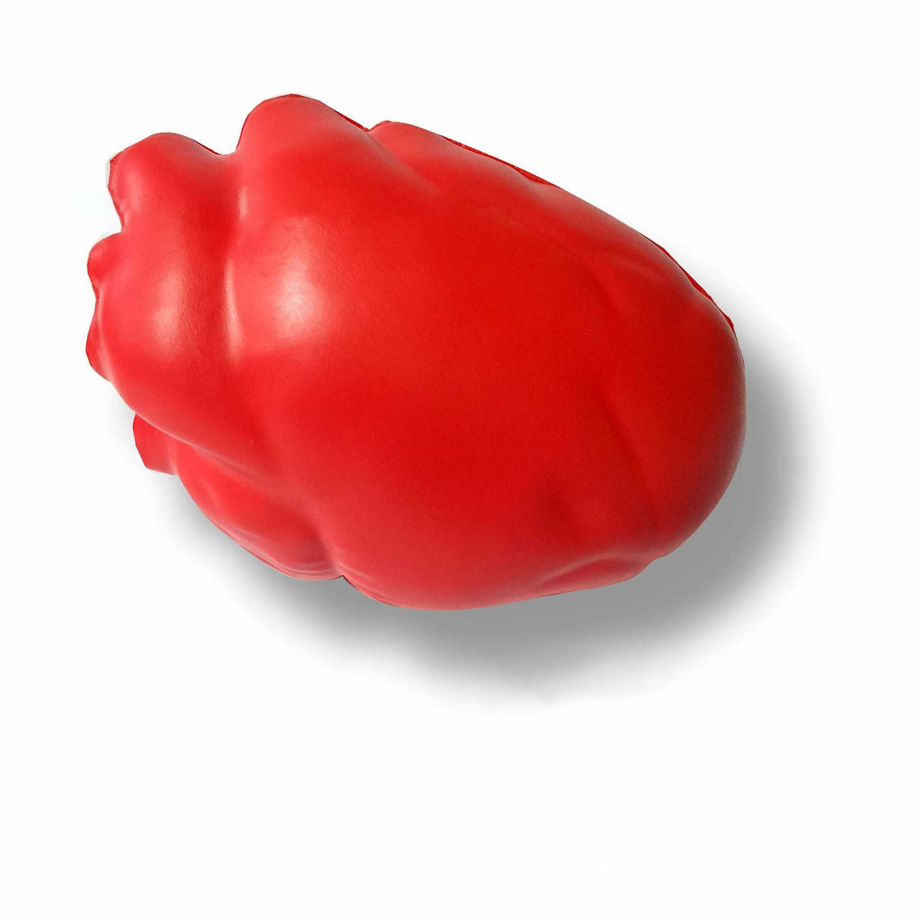 Healthcare Anatomy Stress Ball For Relief Stress 2
