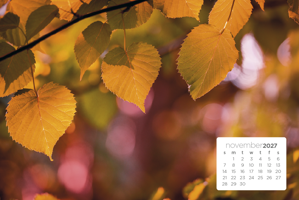 Triumph® Calendars Simplicity Large Desk Calendar 43