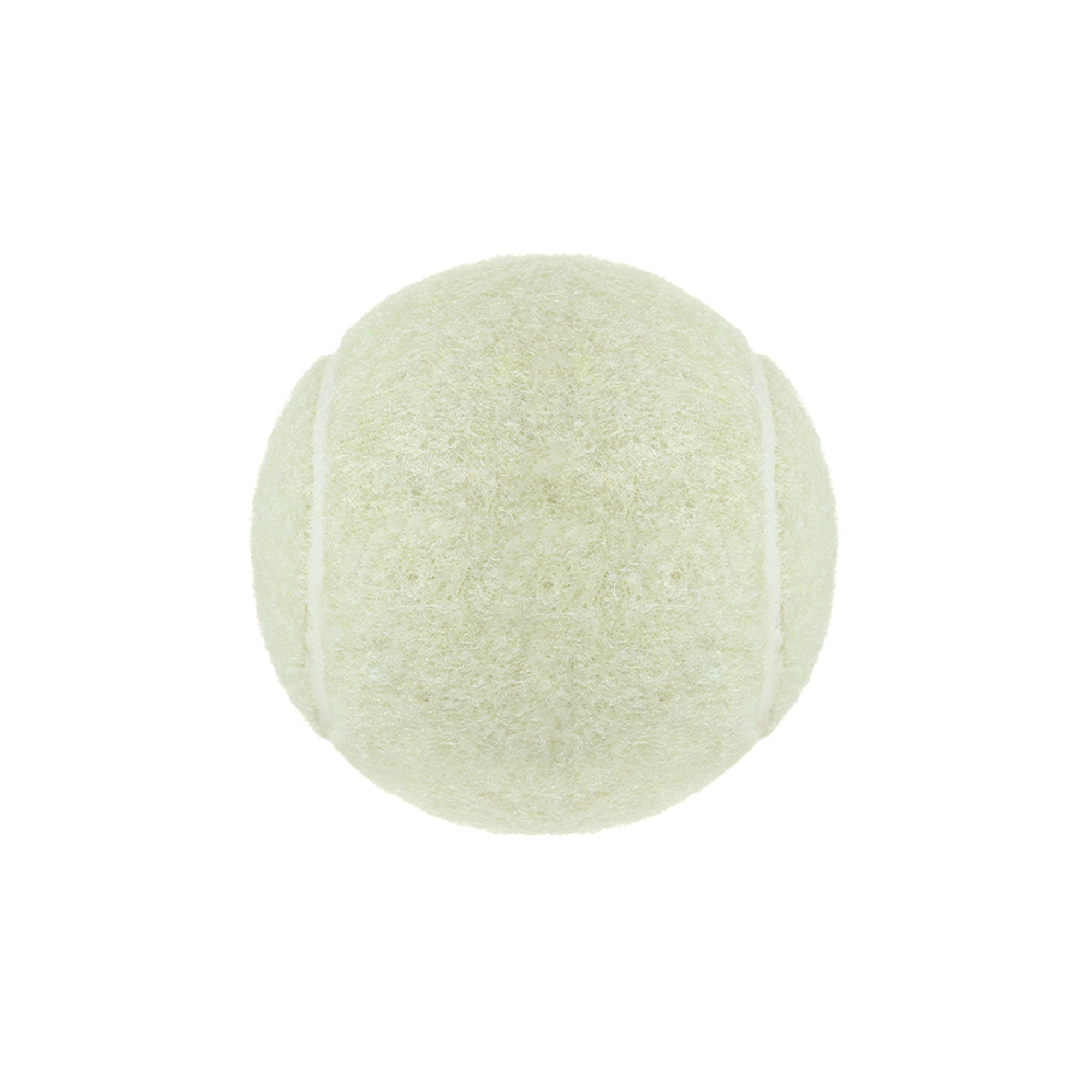 Pet Training Tennis Ball 2.5" Diameter 4