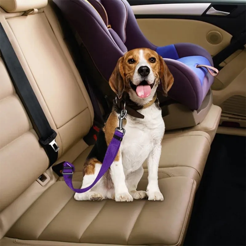 Pet Dog Seat Belt 11