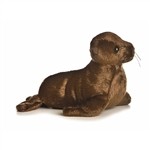 8" California Sea Lion 1