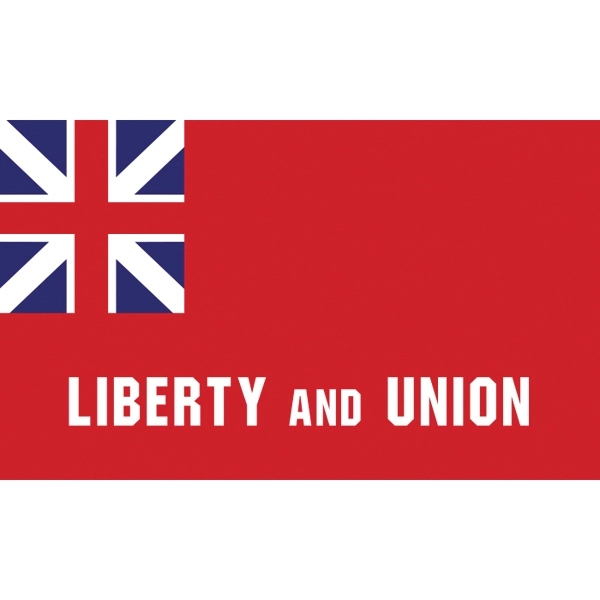 Special Historical Flags - Taunton 2