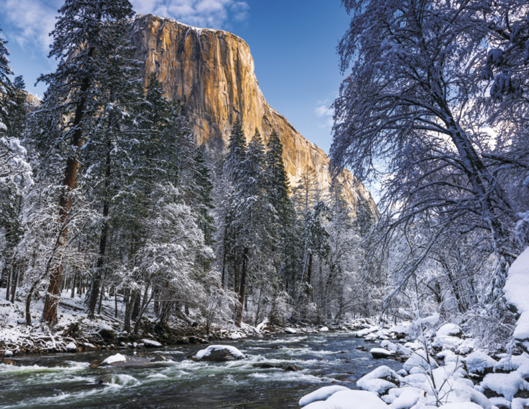 HotLine® Products California Appointment Calendar - Stapled 53