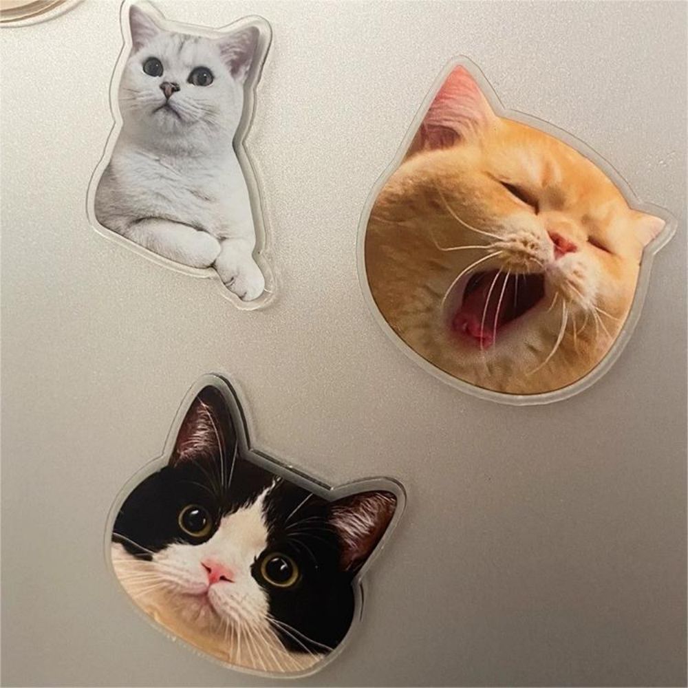 Acrylic Cute Fridge Stickers 4