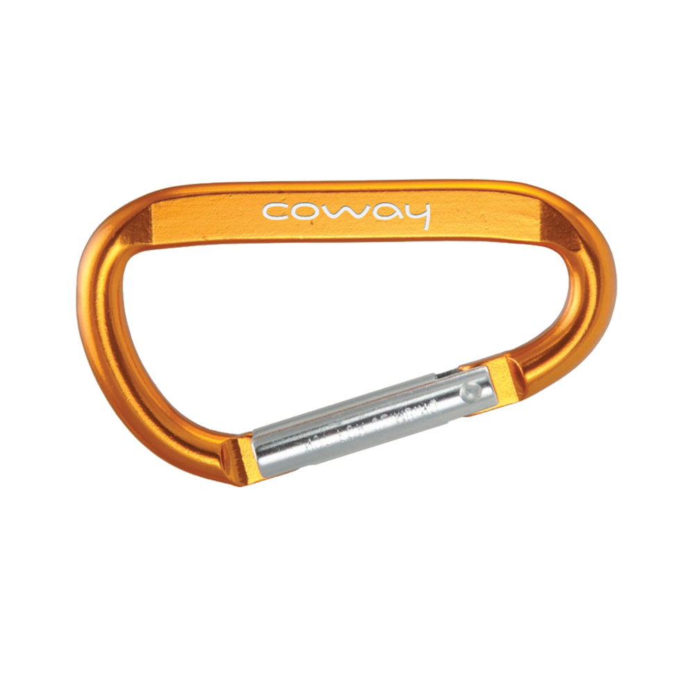 Small Carabiner 4