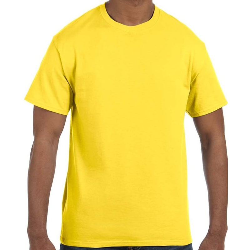 Hanes Men's Authentic-T T-Shirt 12