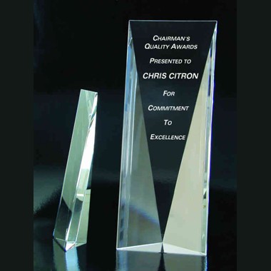 Crystal Panel Award 2