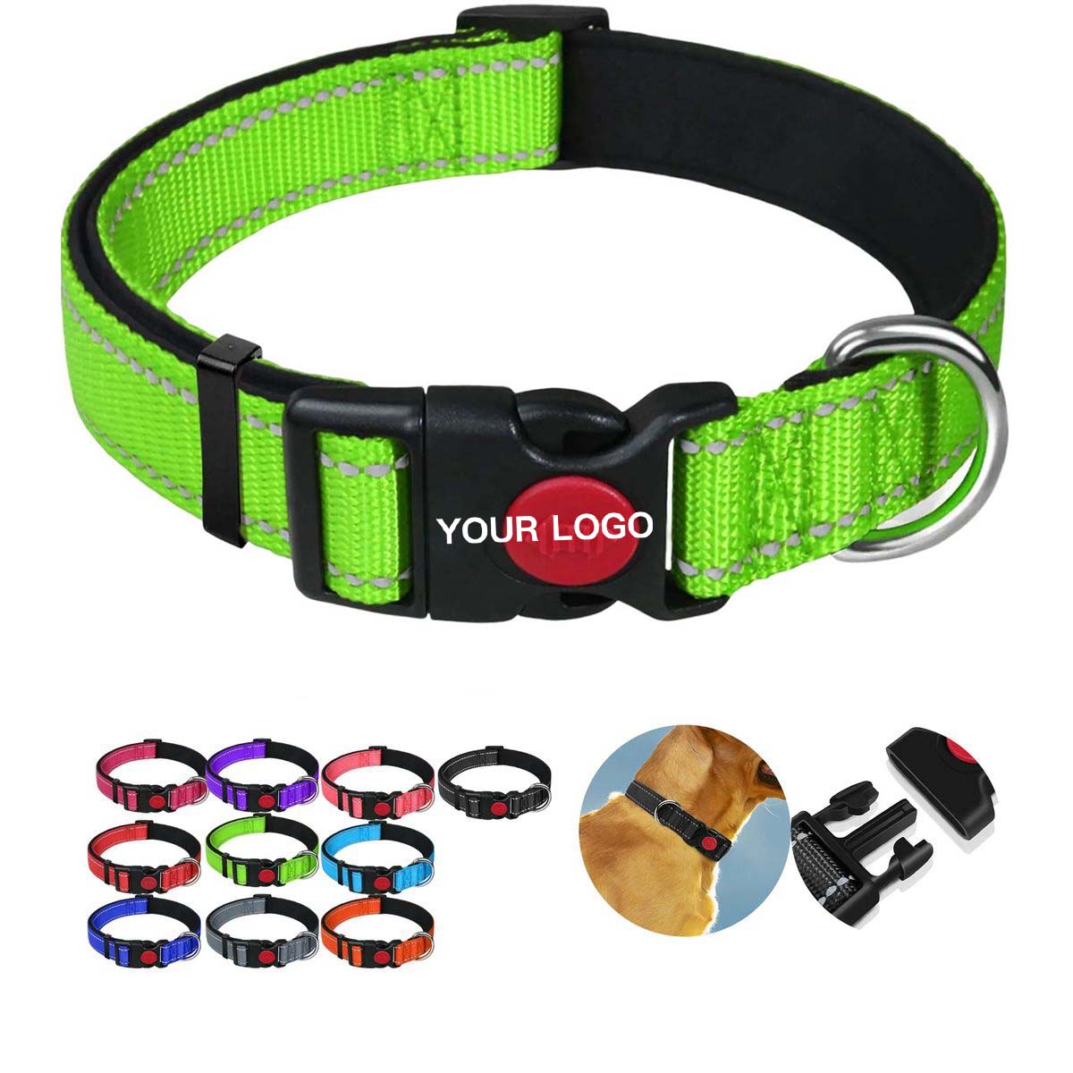 Durable Pet Collar with High Visibility Design 3