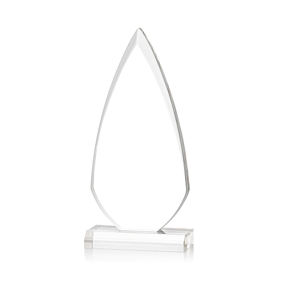 Vanderbilt VividPrint™ Award 7
