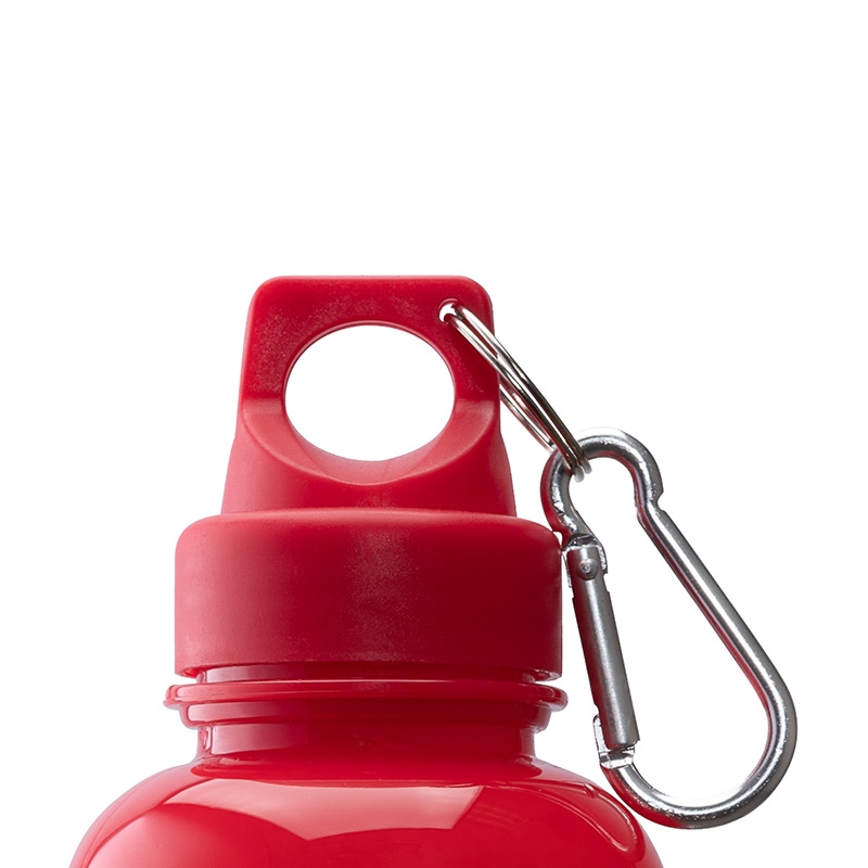 Brio 20 oz. PS Water Bottle w/ Carabiner 10