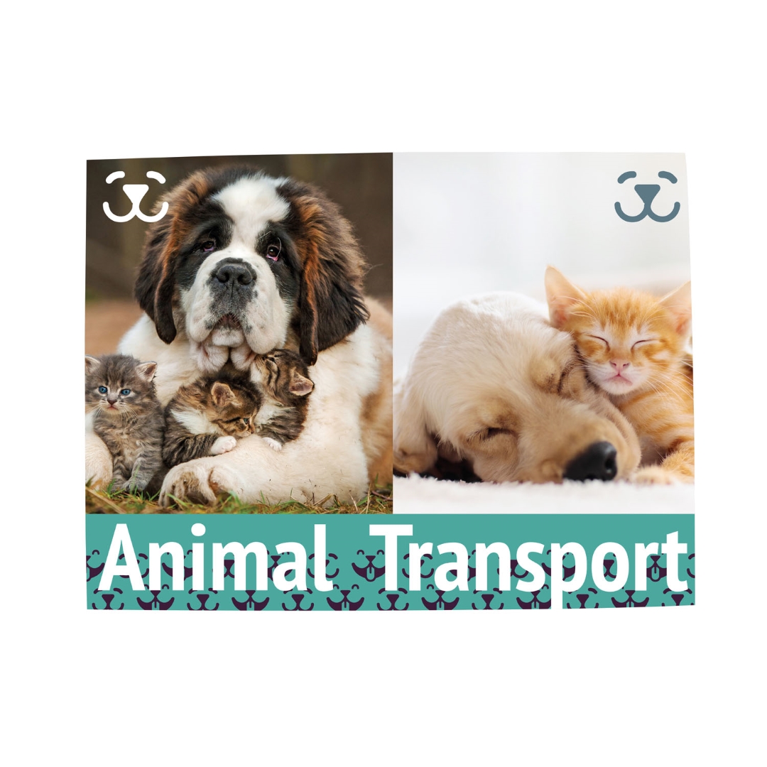 18" x 24" Magnet Promo Sign 5