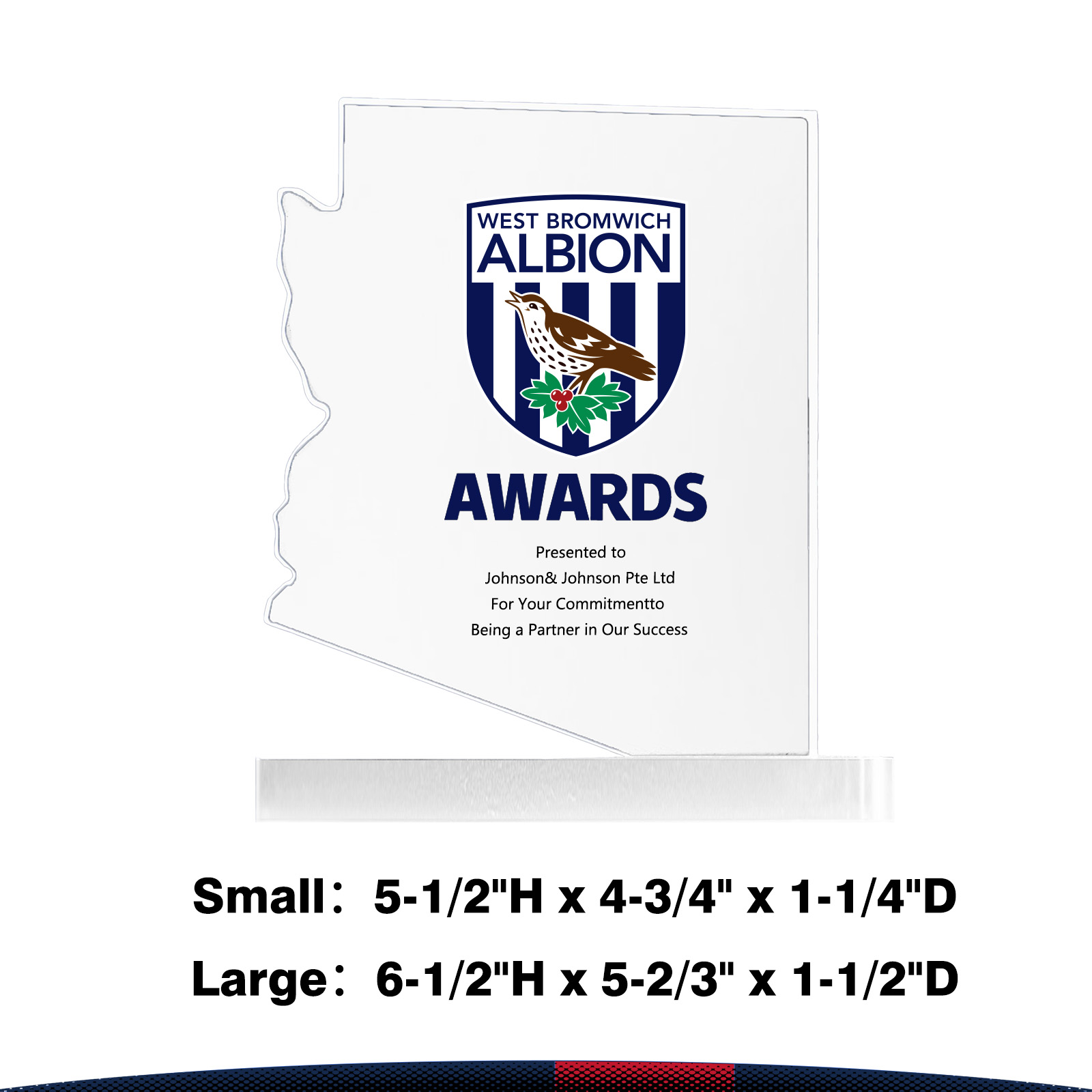 Blimex Arizona Crystal Award 4