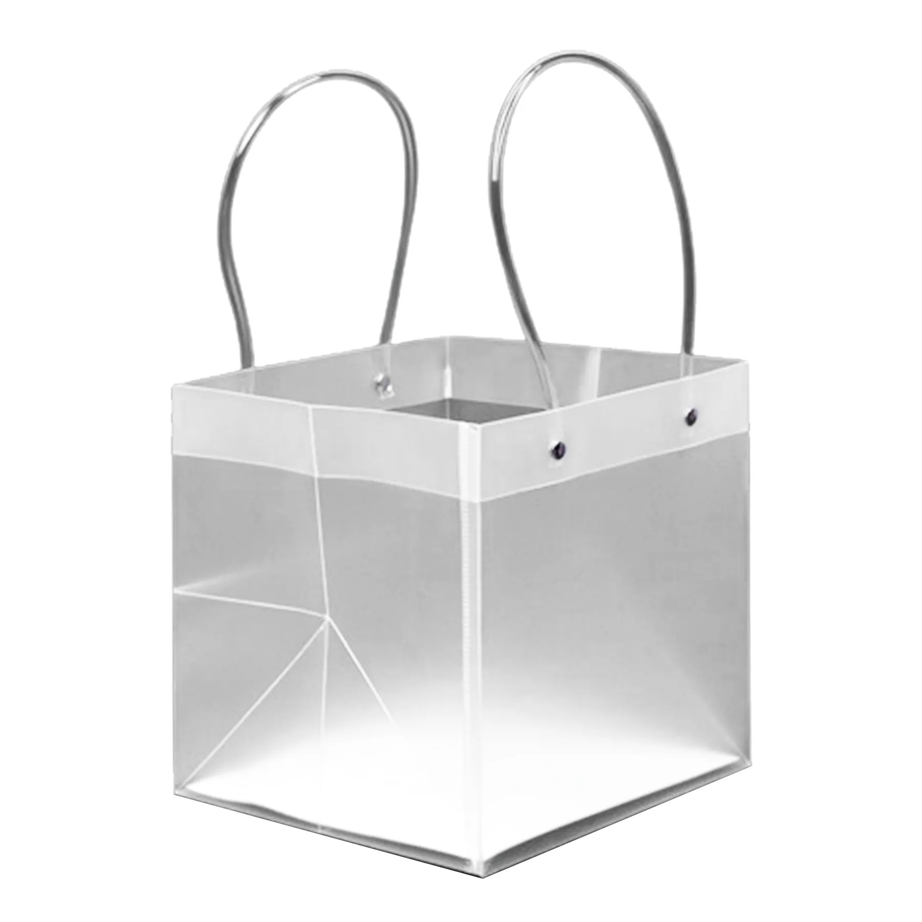 Transparent Handheld Gift Bag 2