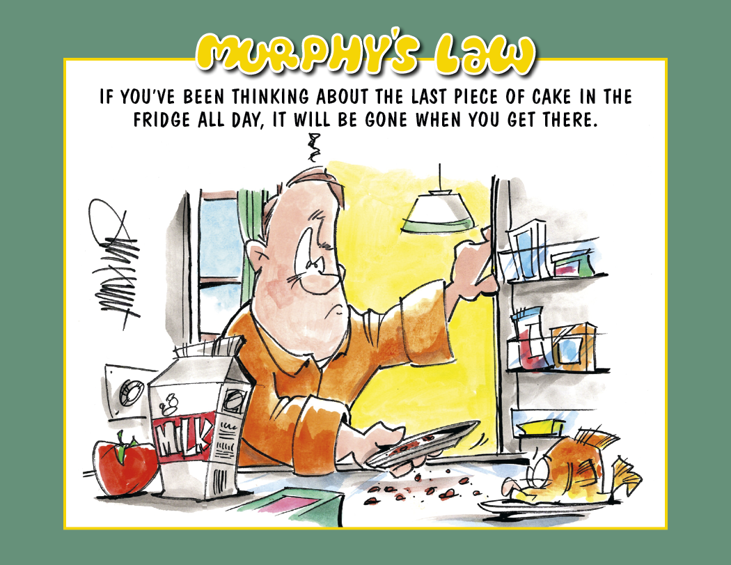 HotLine® Products Murphy's Law Appointment Calendar - Stapled 36