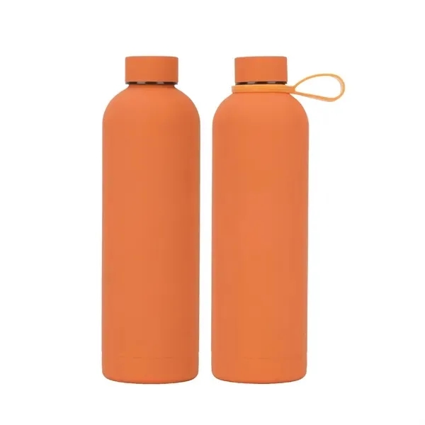 Stainless Steel Water Bottle with Insulated 17 oz 12