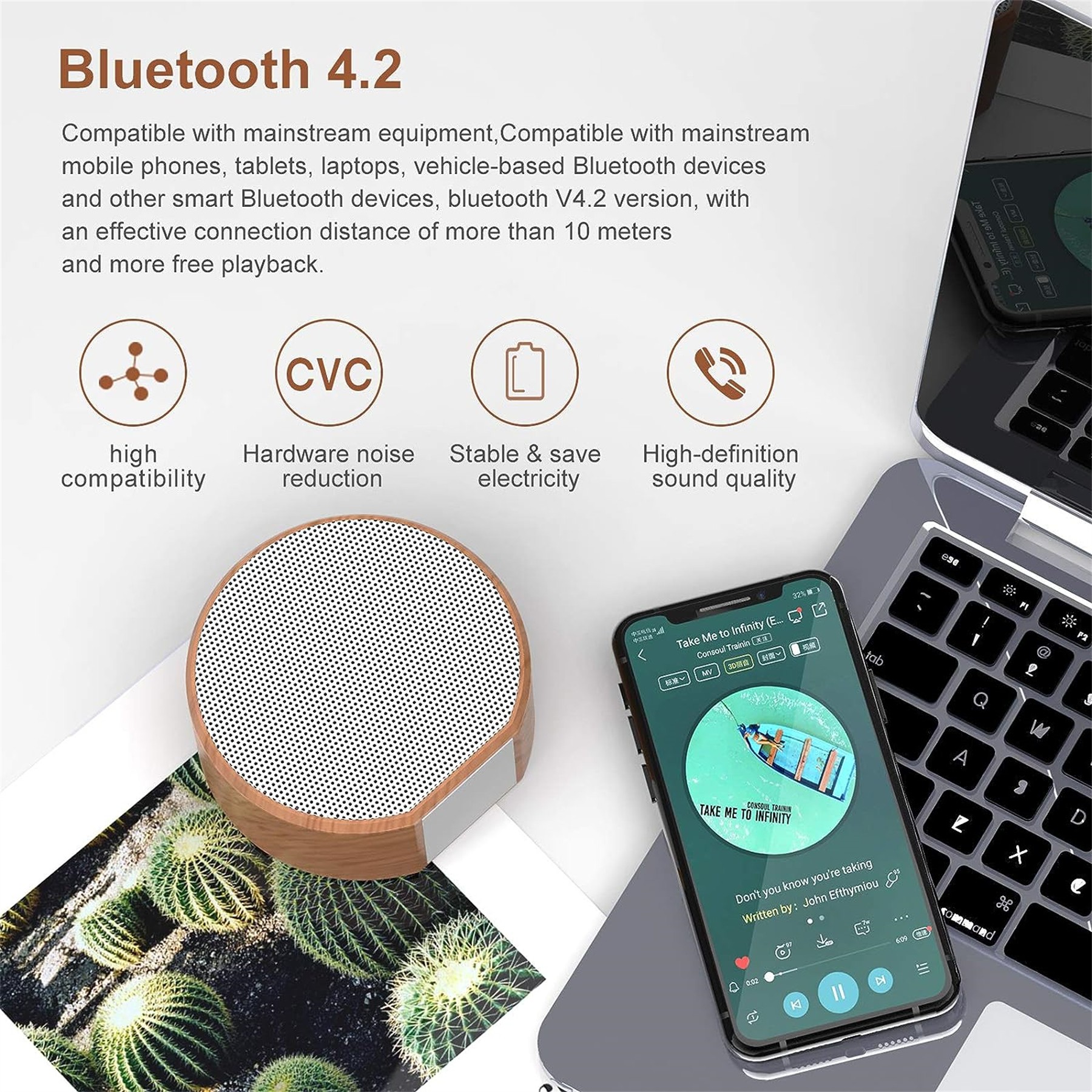 Portable Wireless Speaker 4