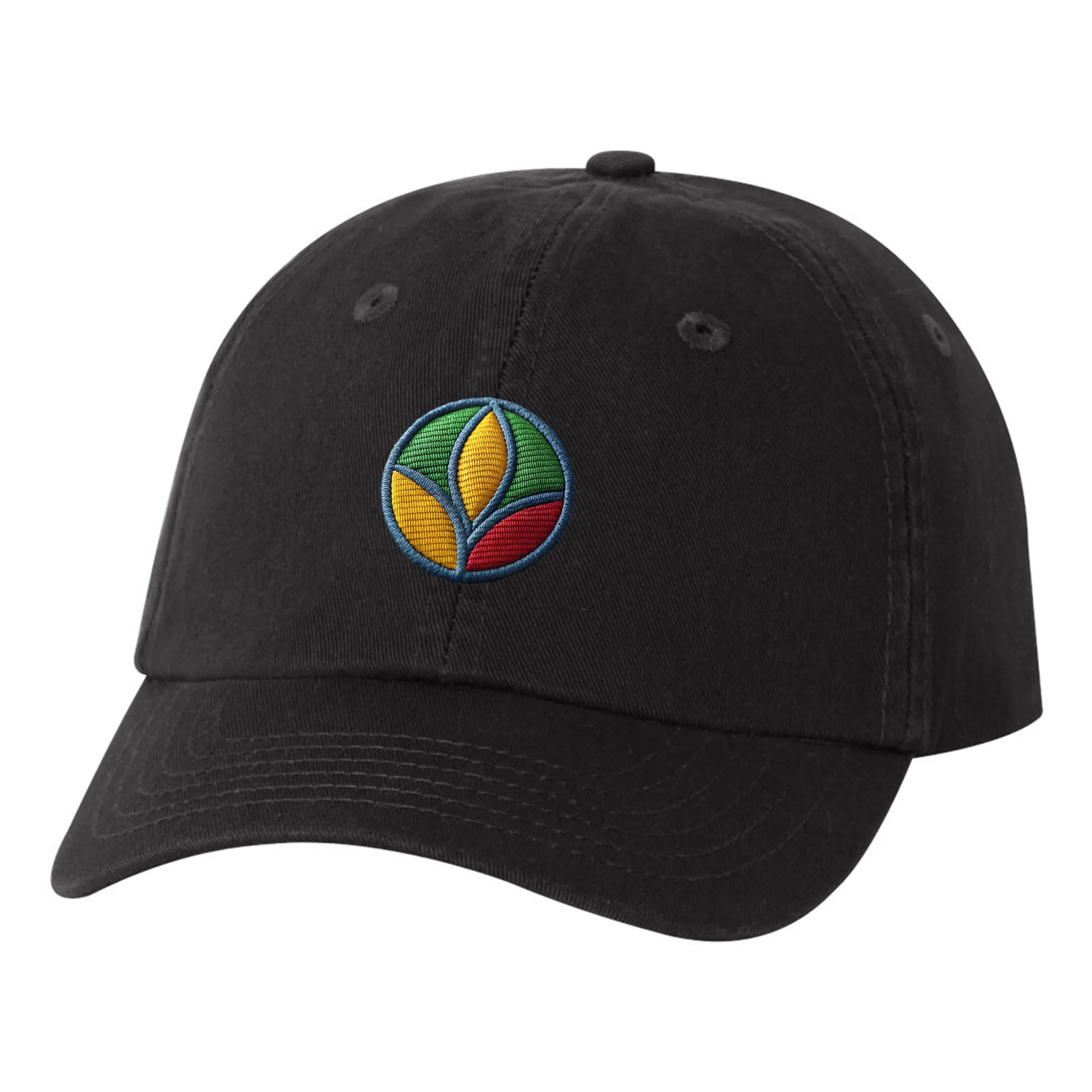 VALUE CAP SMALL FIT BIO-WASHED DAD'S 16