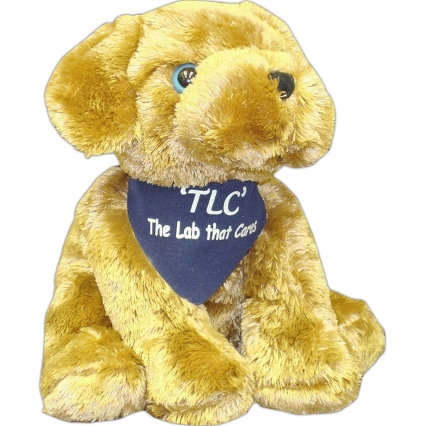 9" Floppy Kohair Lab 3