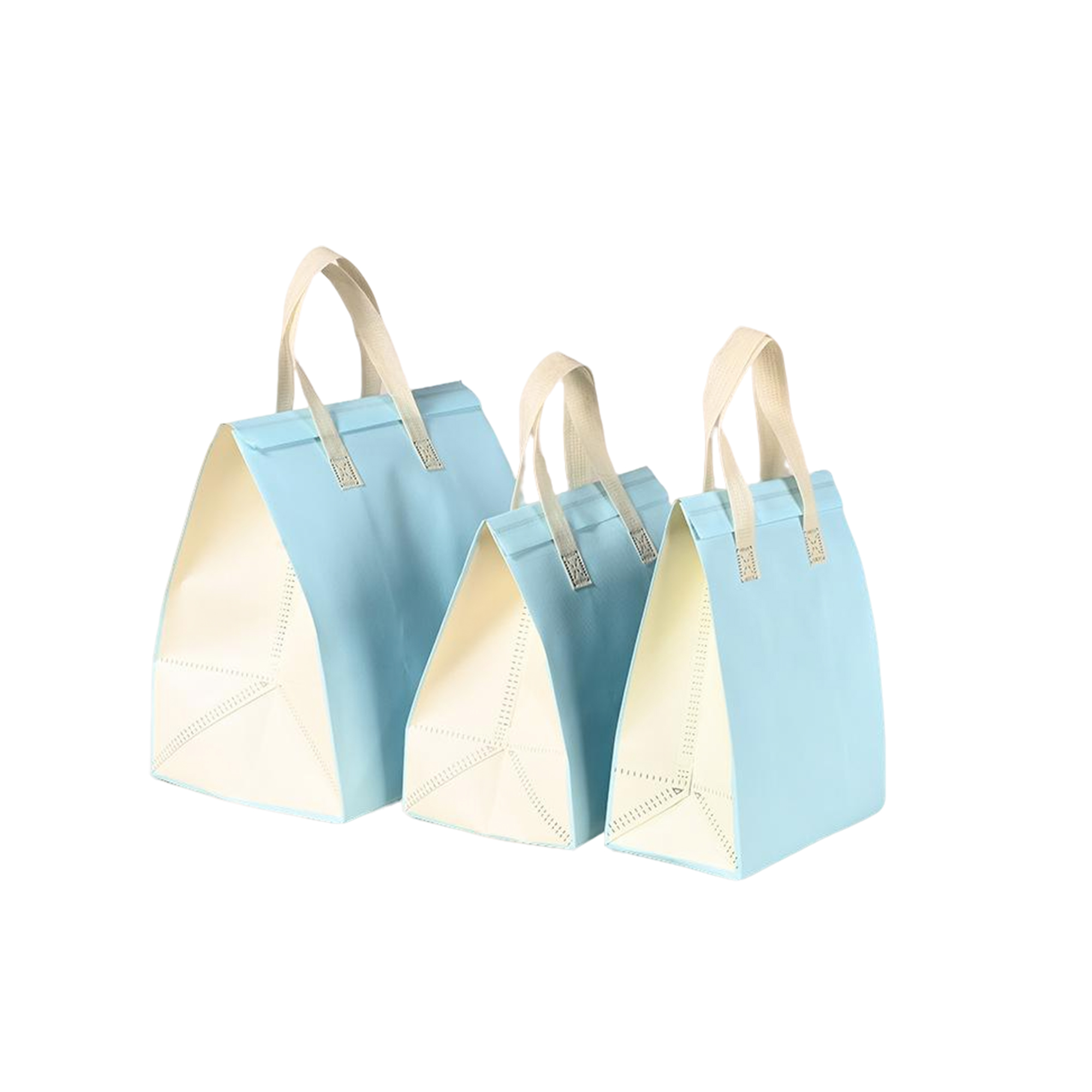 Non Woven Insulated Lunch Bag With Temperature Control 4