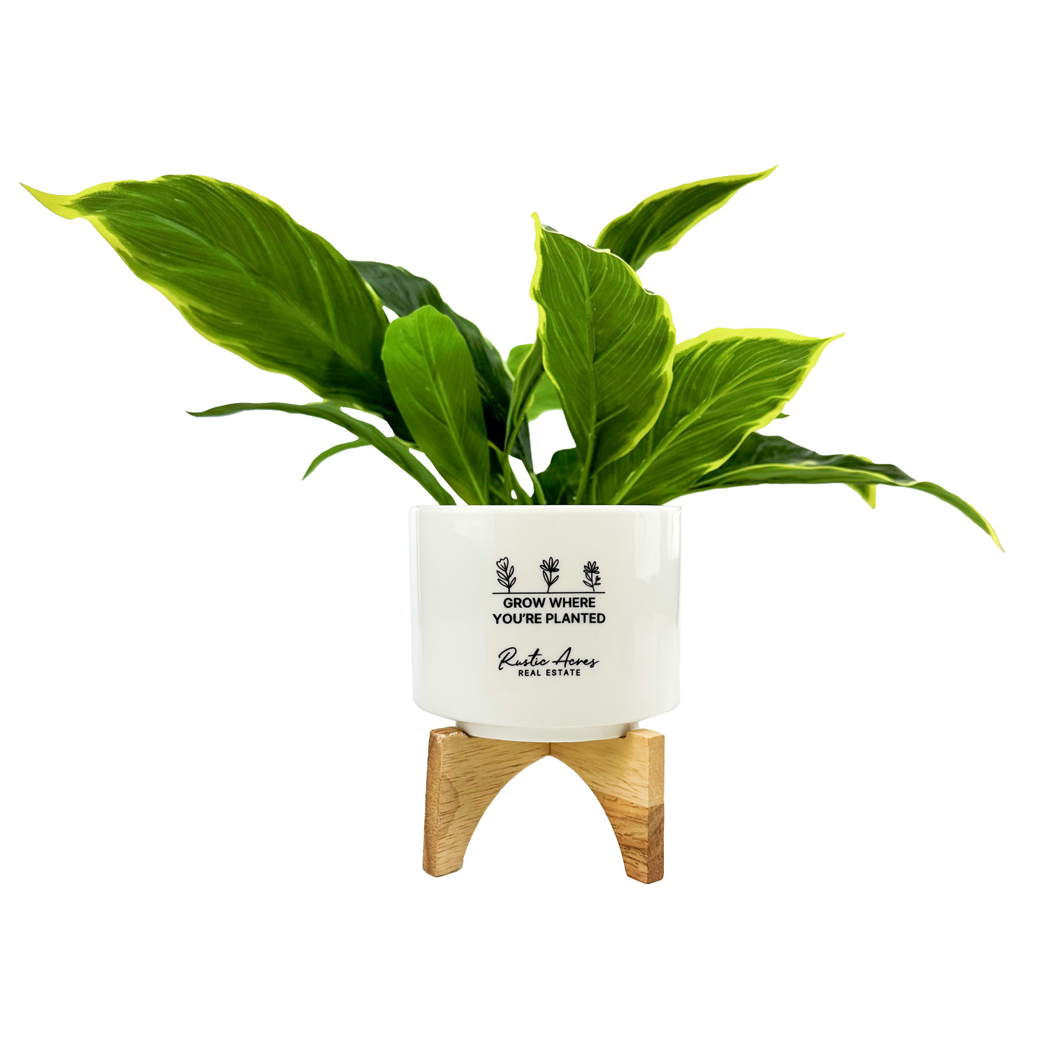 Decorative Ceramic Planter & Stand