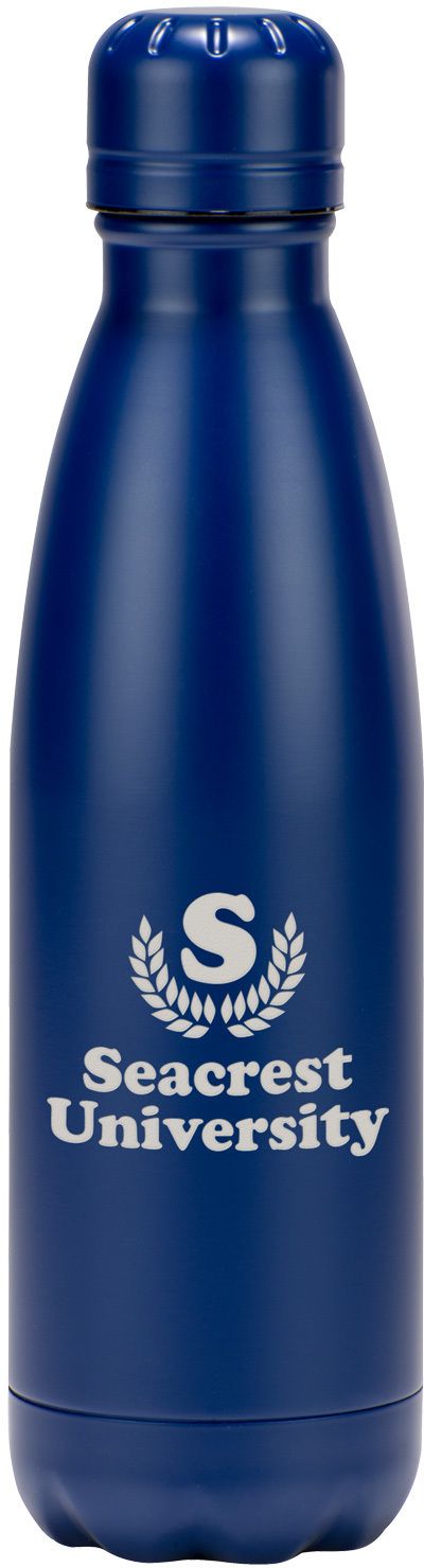 VOYAGER STAINLESS STEEL BOTTLE 17 OZ 10