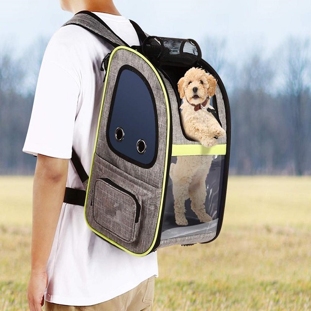 Expandable Pet Carrier Backpack 1