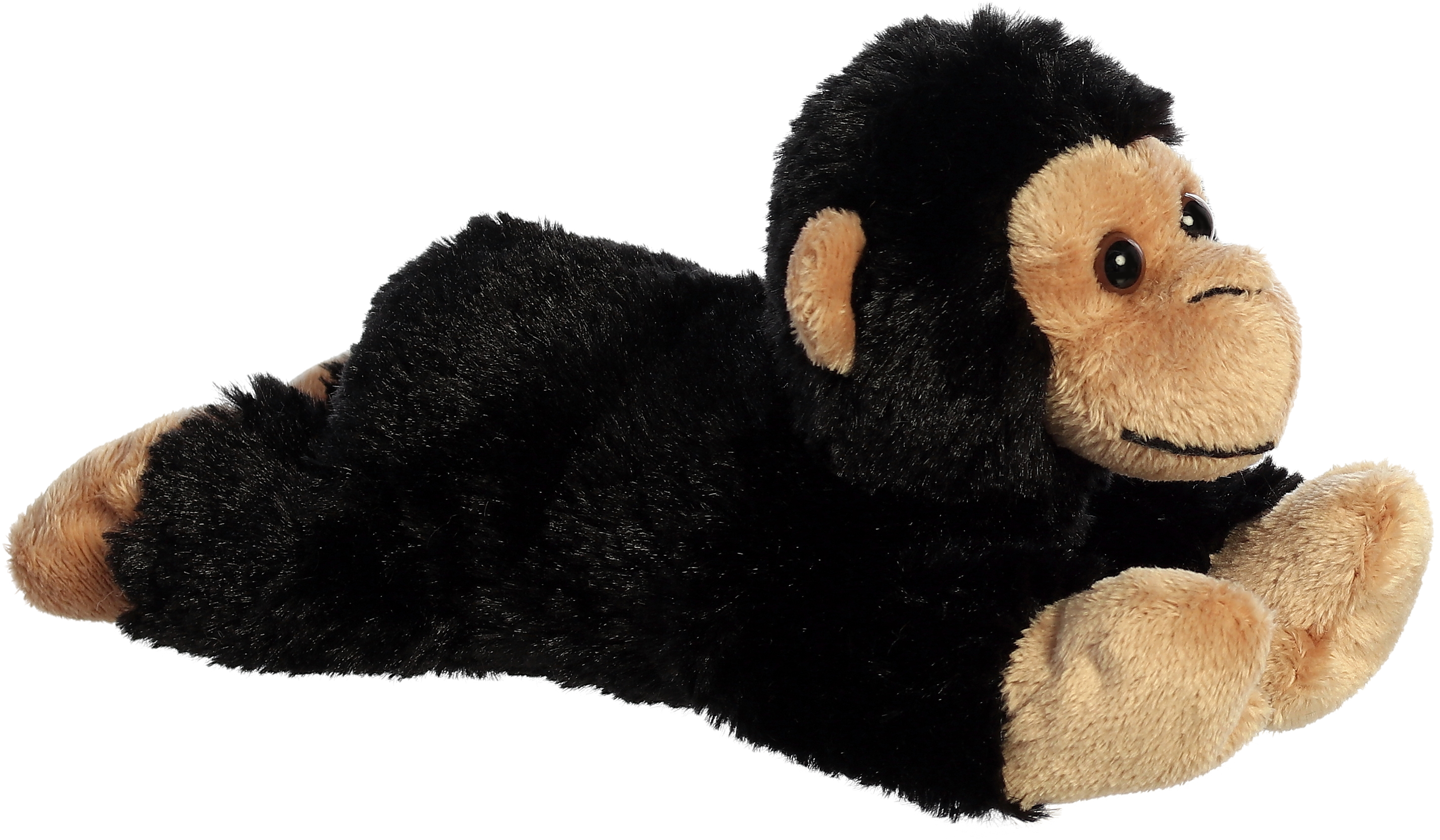 8" Chimp 1