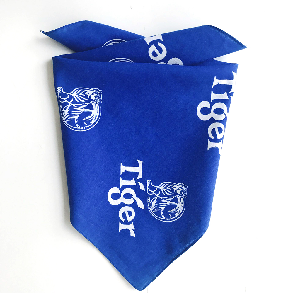 Small Pet Bandanna
