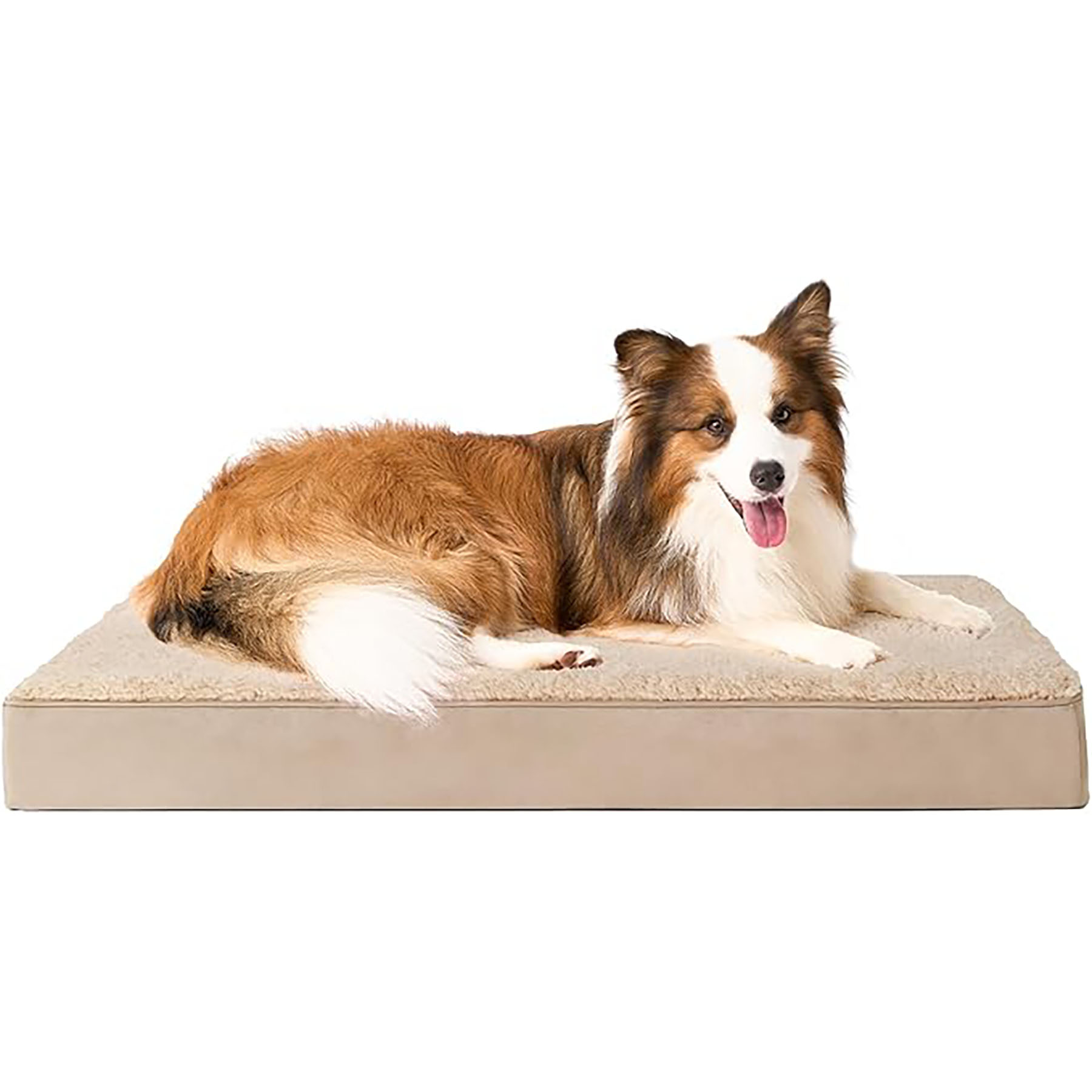 Dog Beds 5