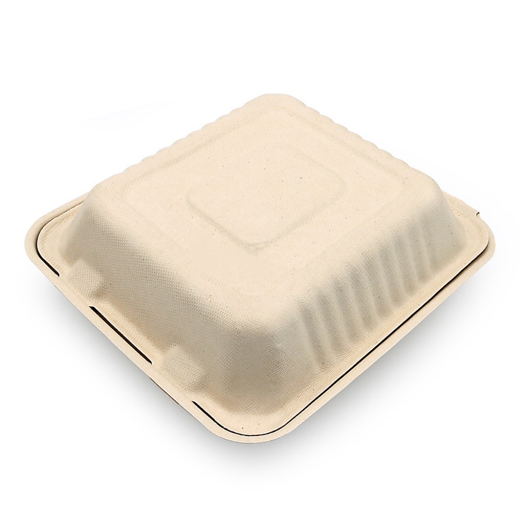 Biodegradable Food Container 1