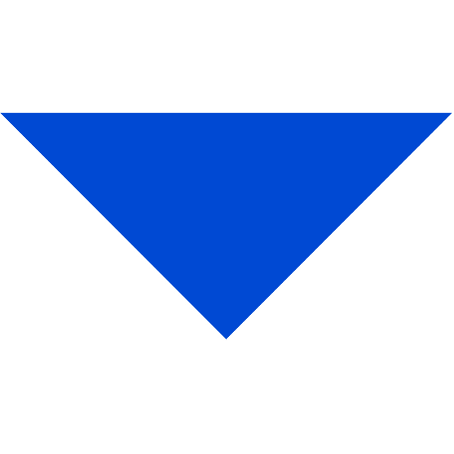 Domestic Pet Bandanna 23