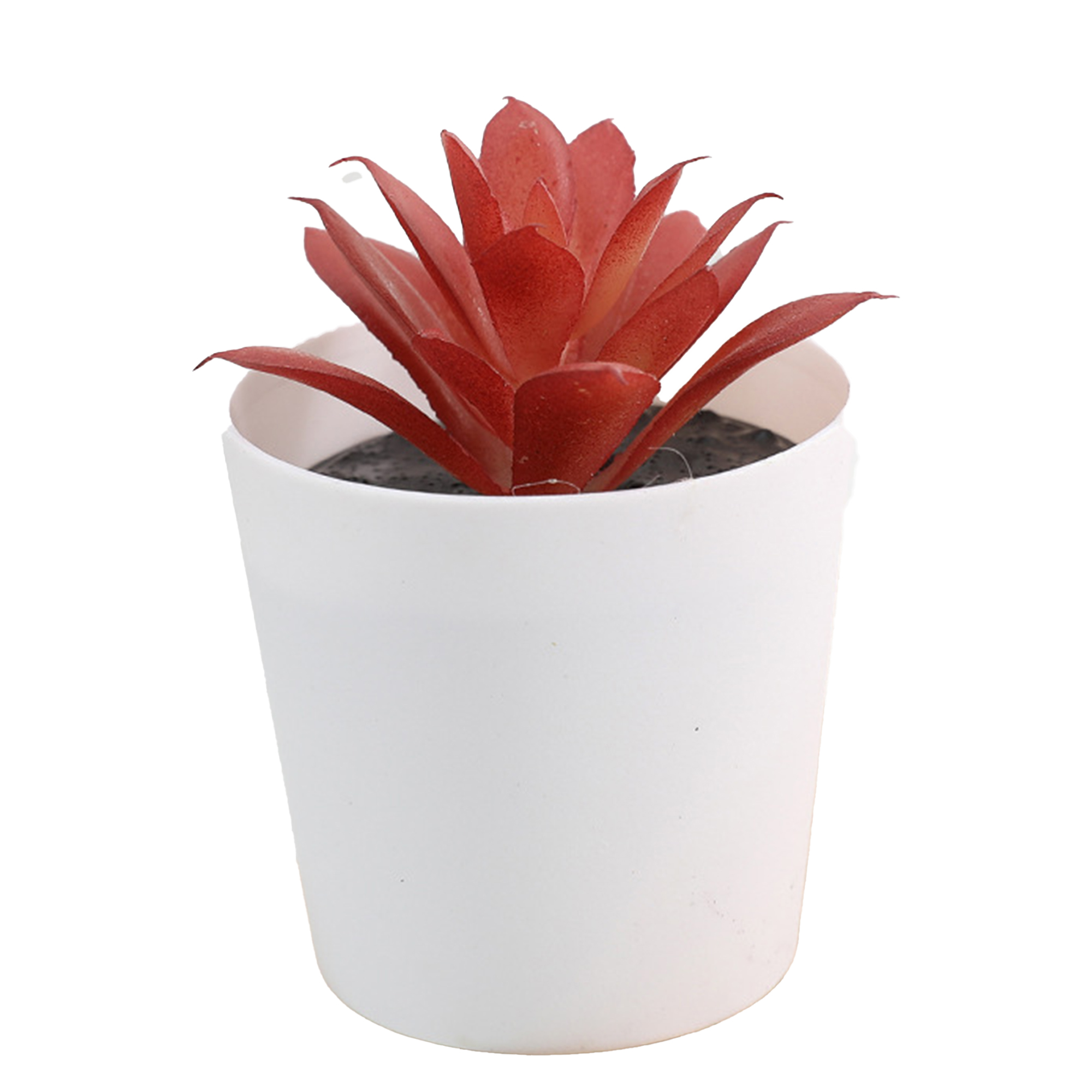 Mini Succulent Potted Plant Set for Home Decor 3