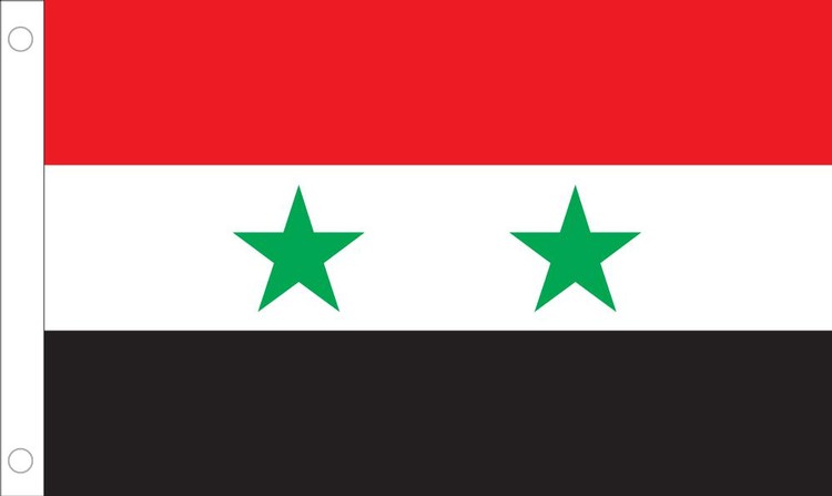 Syria Flag - 2' x 3' - Nylon 2
