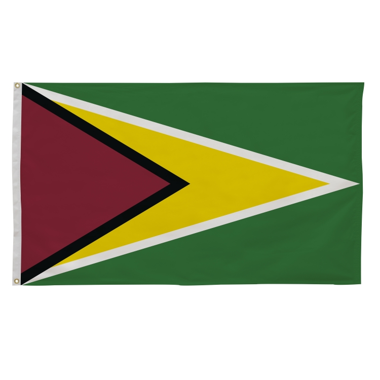 3' x 5' International Flags 268