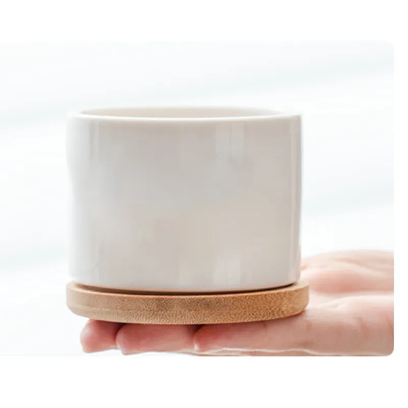 Super Cute White Ceramic Flower Pots 3
