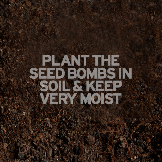 Seed Bombs Muslin Bag 3 2